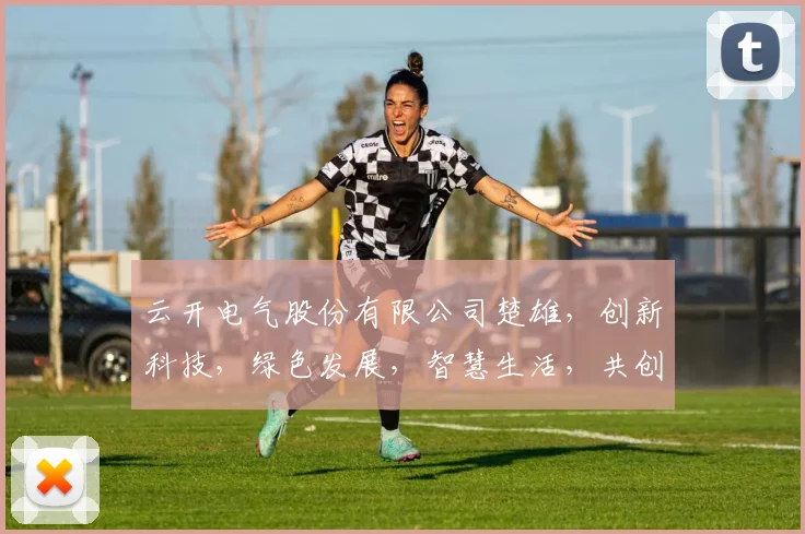 云开电气股份有限公司楚雄，创新科技，绿色发展，智慧生活，共创美好未来
