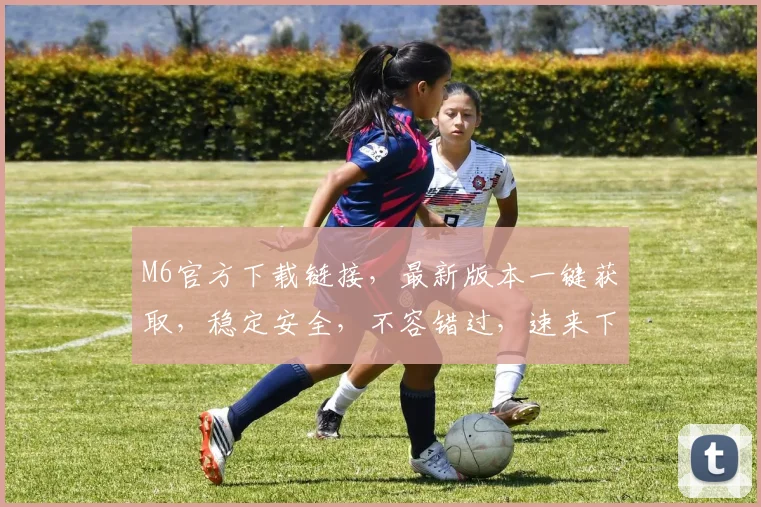 M6官方下载链接，最新版本一键获取，稳定安全，不容错过，速来下载